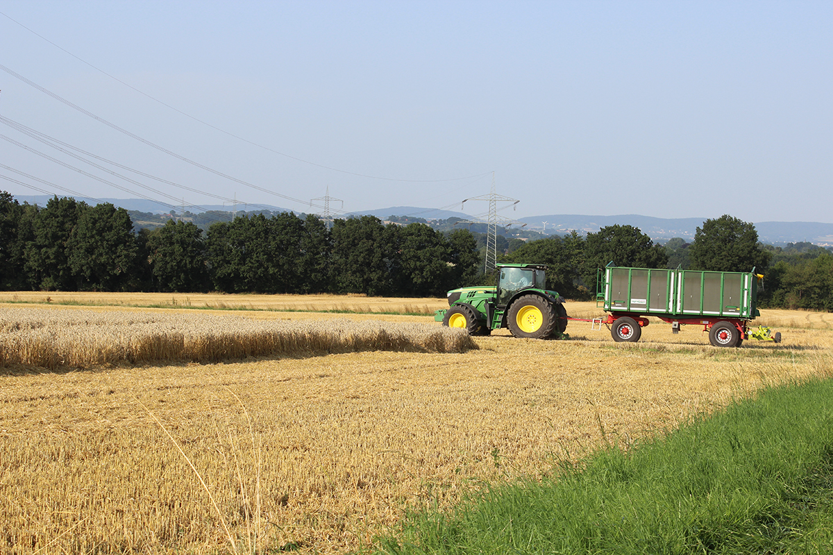 Ein grüner Traktor mit Anhänger fährt über einen grün bewachsenen Feldweg auf ein schon teilweise abgeärntetes Weizenfeld