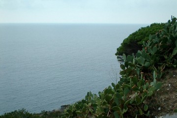Grün bewachsener Bergvorsprung vor dem Meer bei diesiger Sicht.