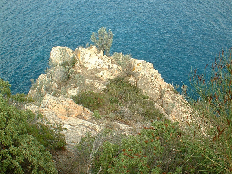 Blick über einen mit Sträuchern bewachsenen Bergvorsprung auf das Meer.