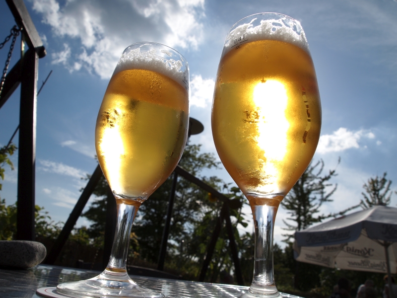Zwei aus der Froschperspektive aufgeniomme Tulpengläser mit Bier in der Sonne.